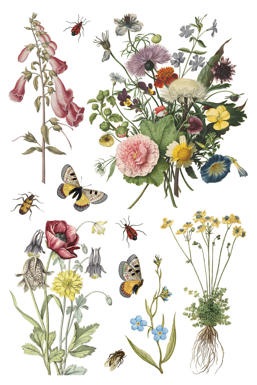 Wilde Bloemen IOD - TRANSFER 8 x 12” PAD
