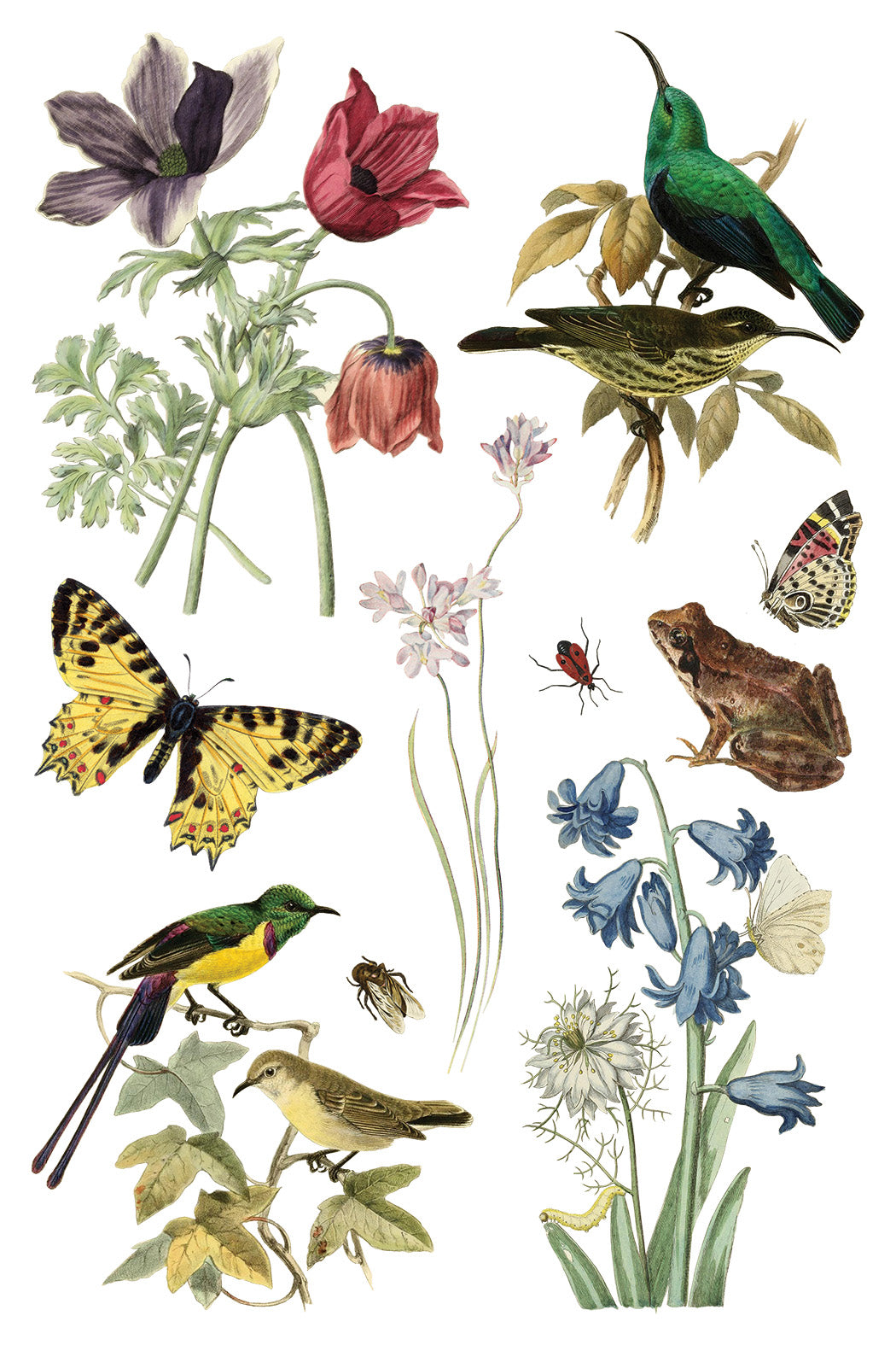 Wilde Bloemen IOD - TRANSFER 8 x 12” PAD