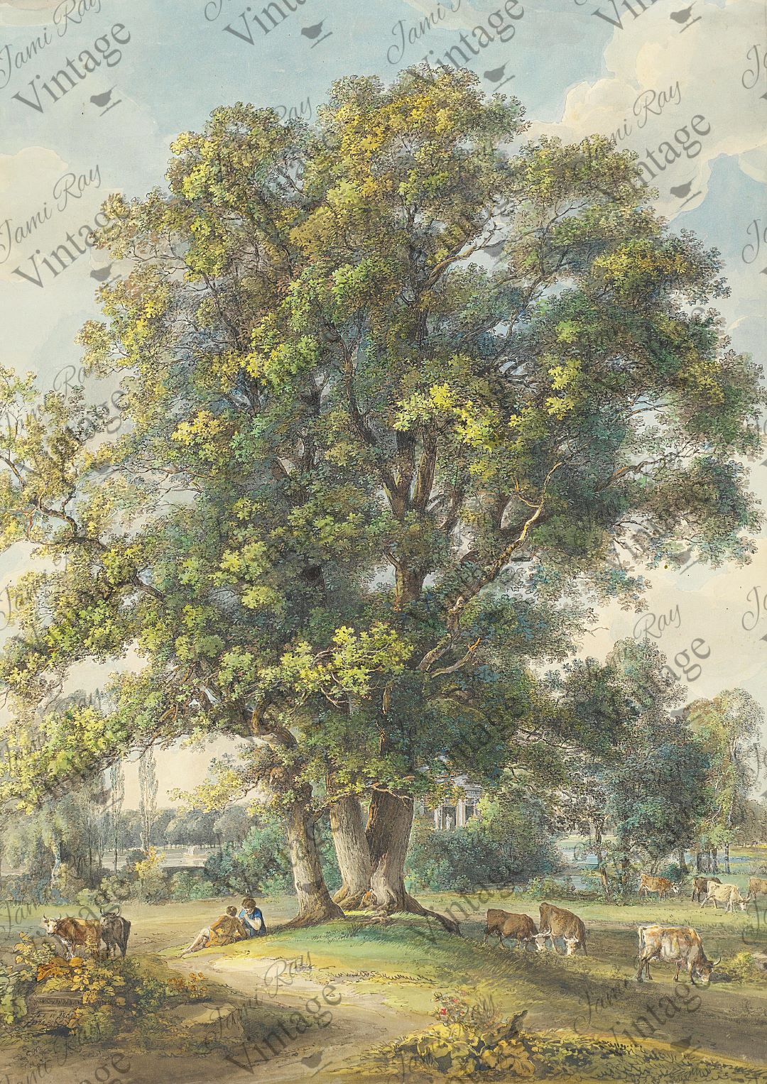 Cows Under a Tree A4 JRV Rice Paper