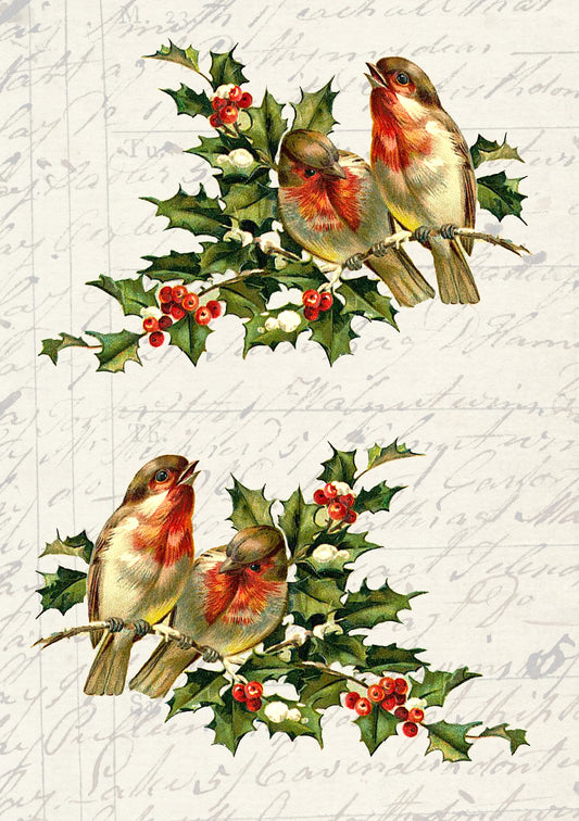 Birds on Holly Branch A4 JRV Rice Paper