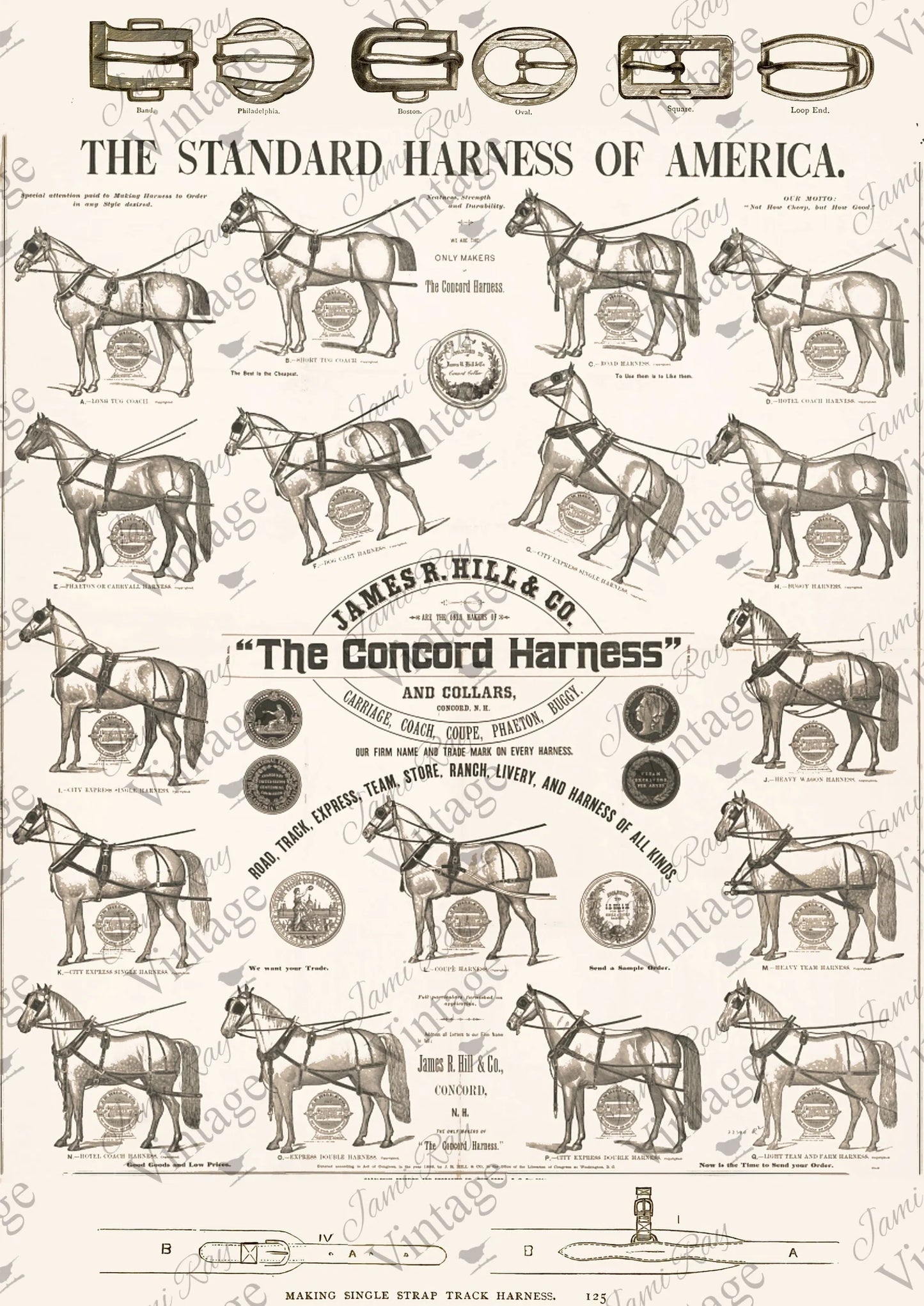 Concord Harness A4 JRV Rice Paper