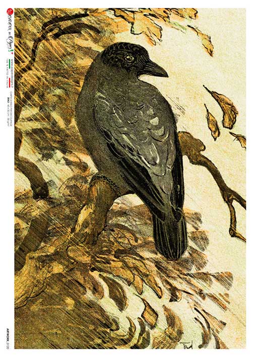 Black Raven Paper Designs A4 Rice Paper