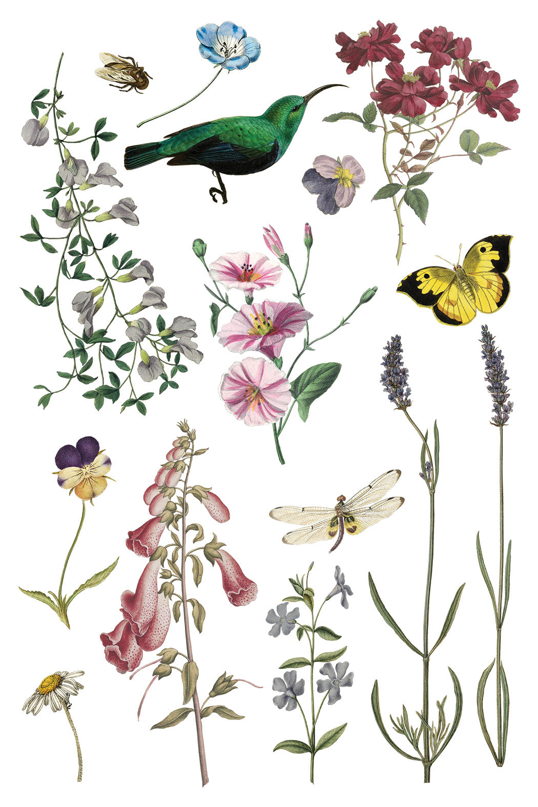 Wilde Bloemen IOD - TRANSFER 8 x 12” PAD