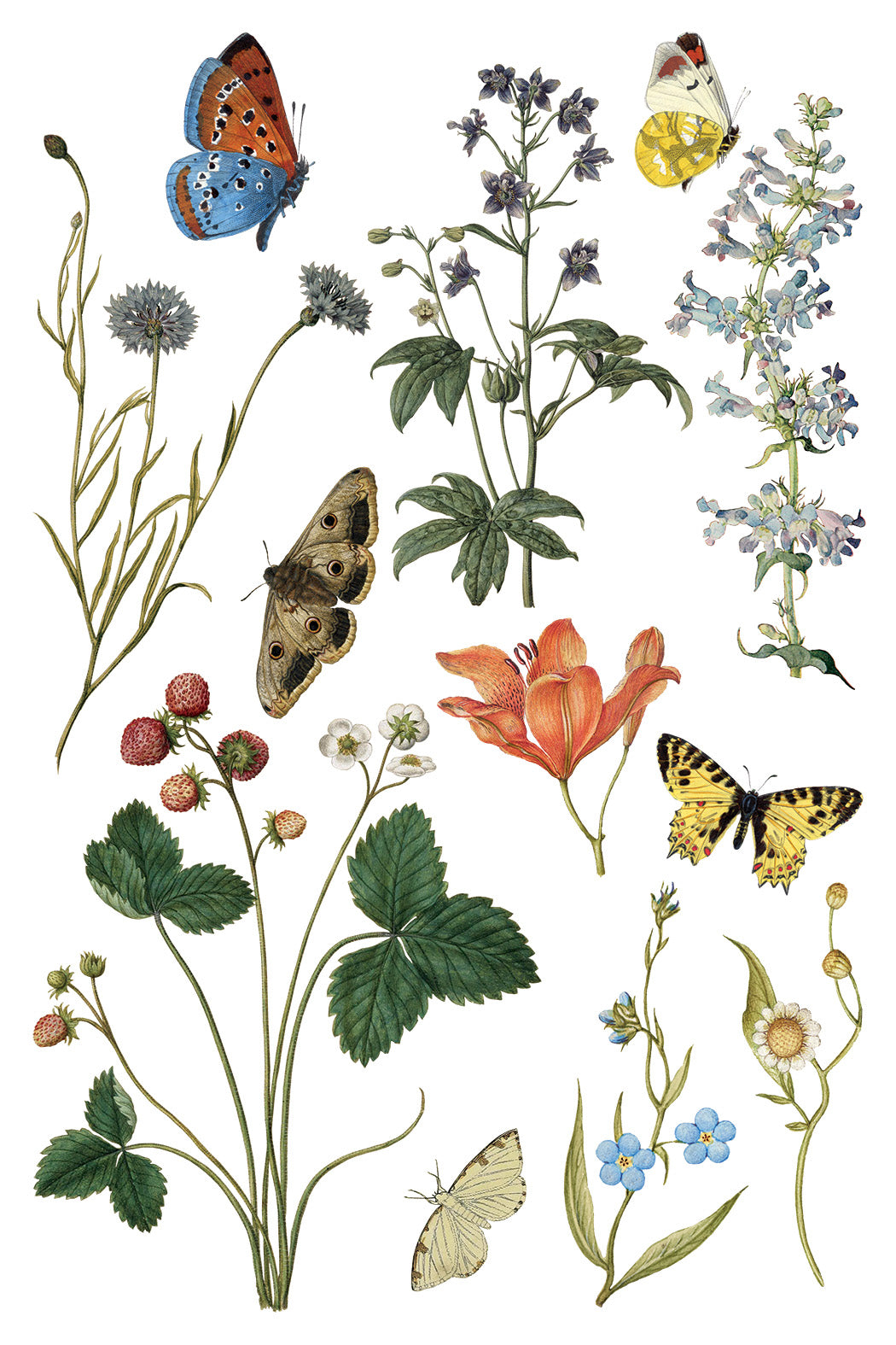 Wilde Bloemen IOD - TRANSFER 8 x 12” PAD