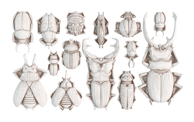 IOD - Specimens Décor Mould