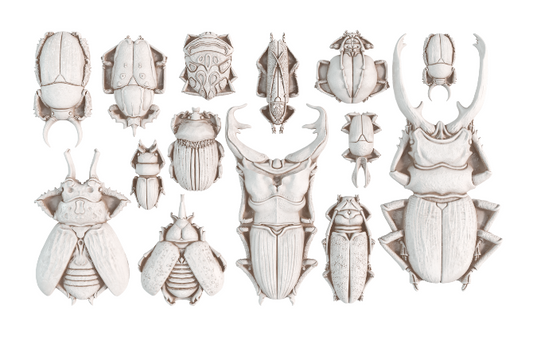 IOD - Specimens Décor Mould