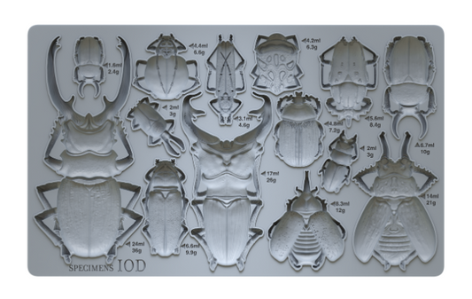 IOD - Specimens Décor Mould