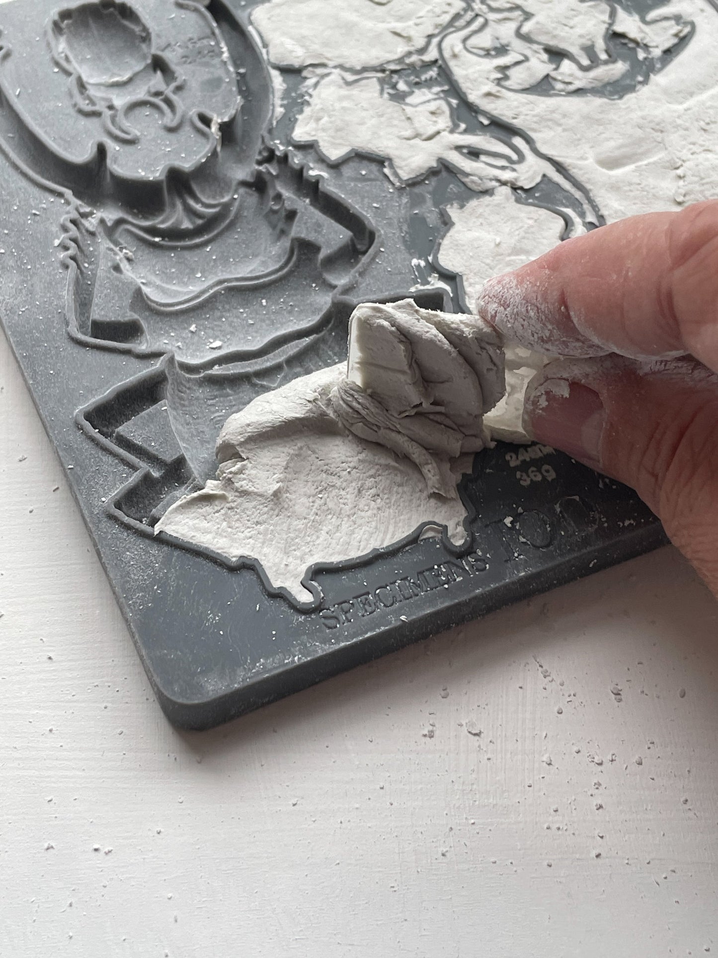 IOD - Specimens Décor Mould