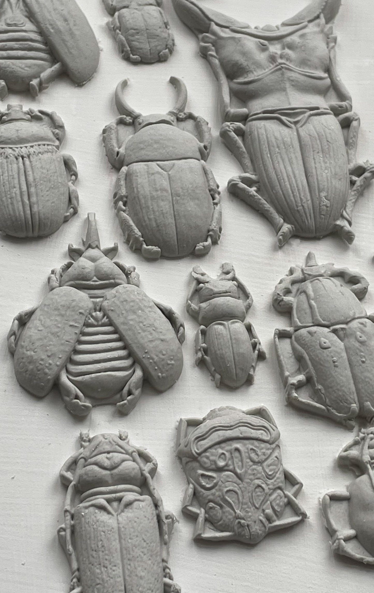 IOD - Specimens Décor Mould