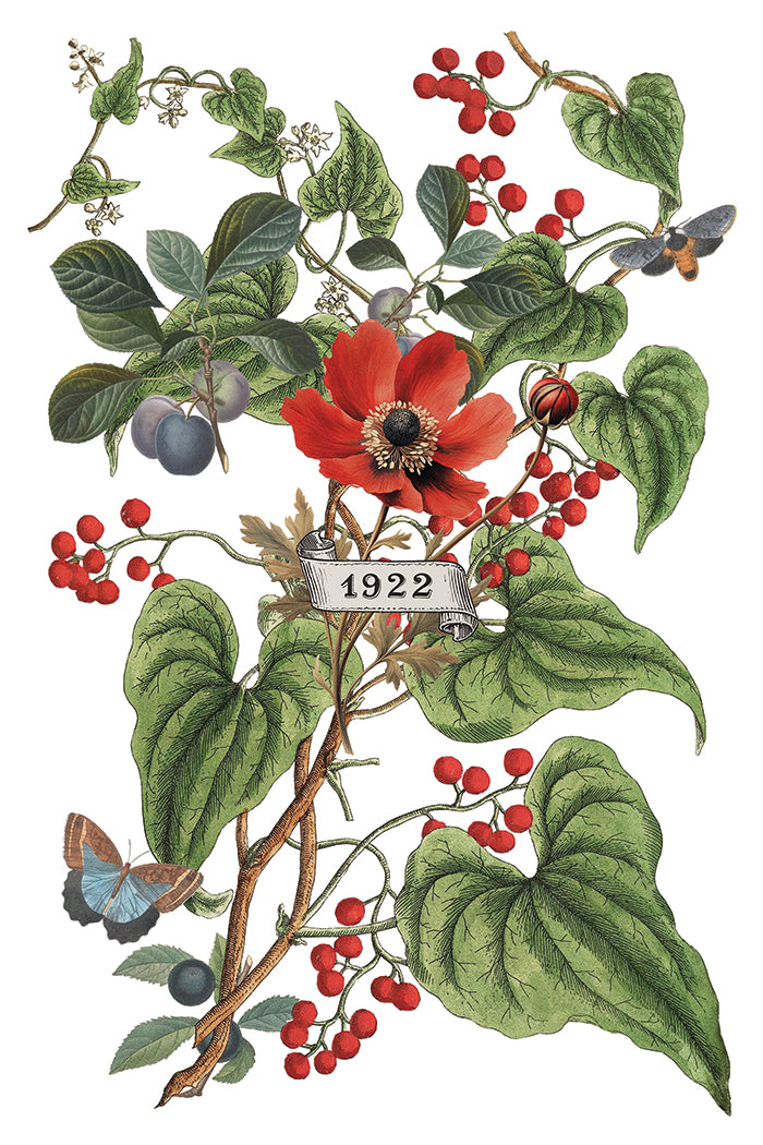 Pre- Order - IOD - Clementine TRANSFER 8 x 12ā PAD