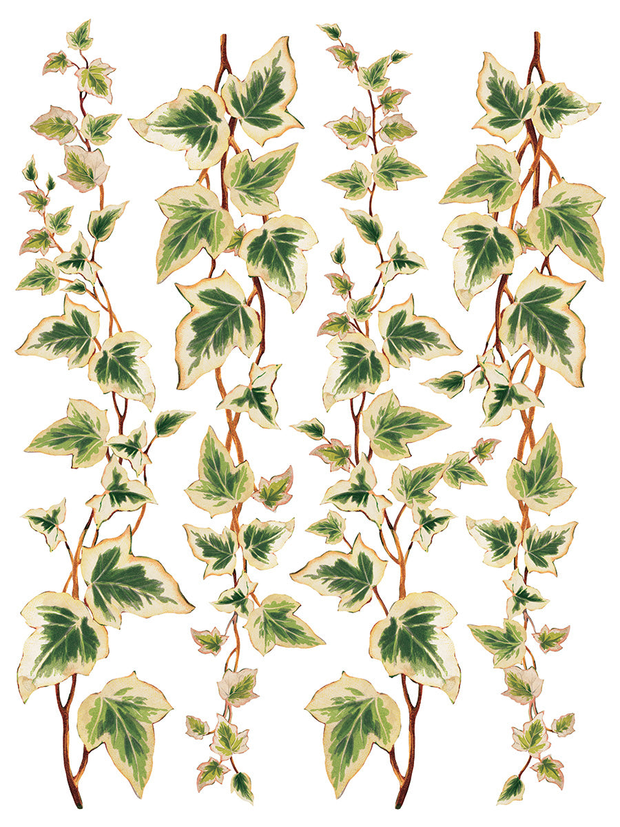 Collage de Fleurs IOD TRANSFER PAD 12 x 16"