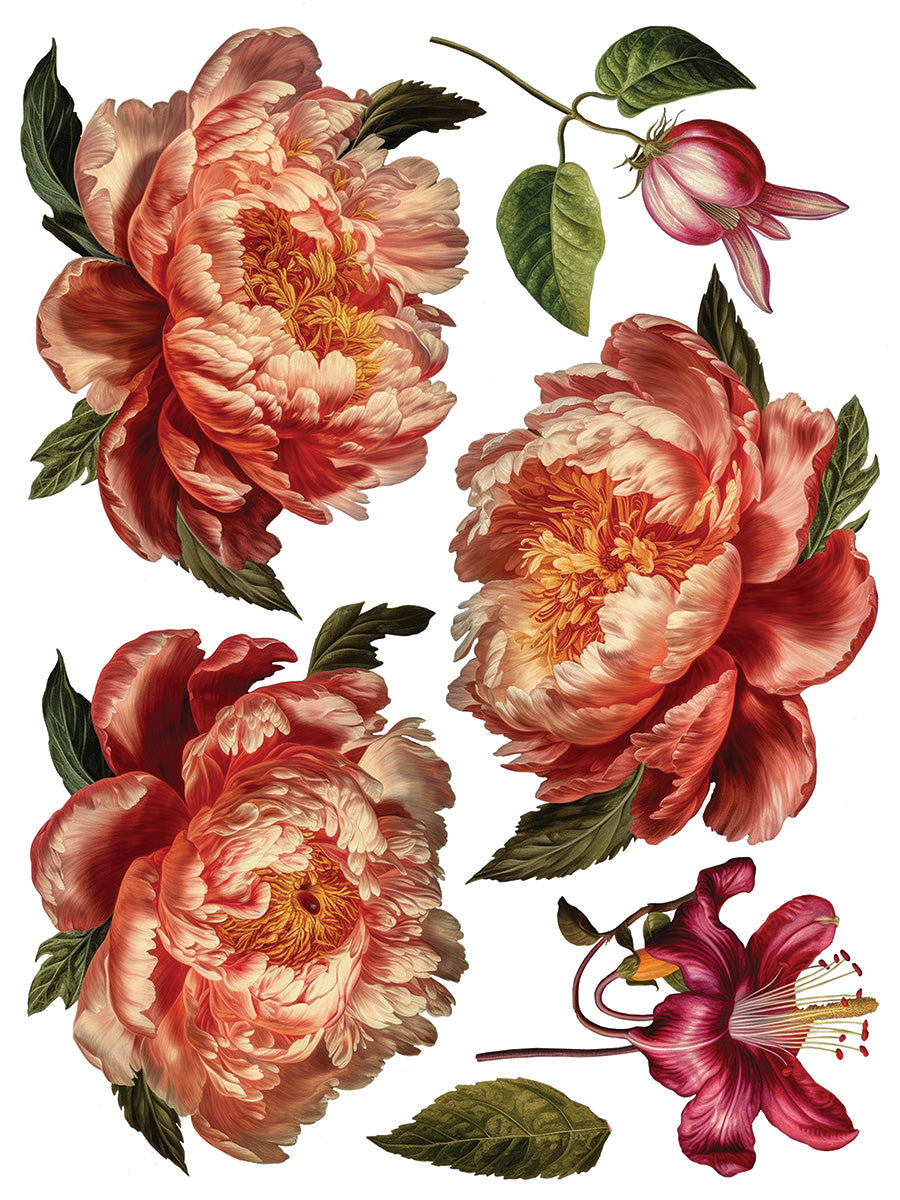 Collage de Fleurs IOD TRANSFER PAD 12 x 16"