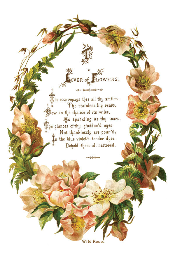 Lovers of Flowers IOD - TRANSFER PAD