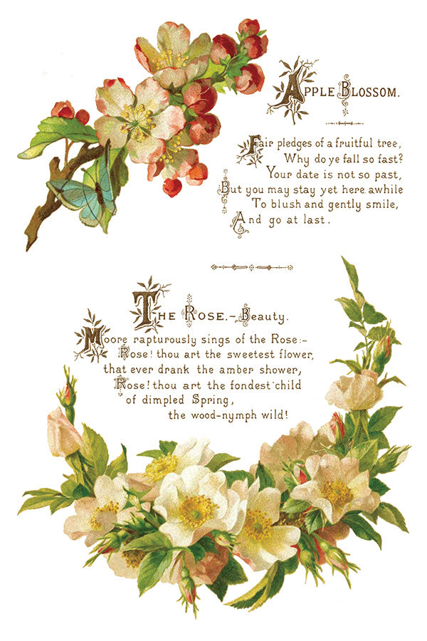Lovers of Flowers IOD - TRANSFER PAD