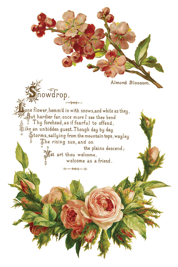 Lovers of Flowers IOD - TRANSFER PAD