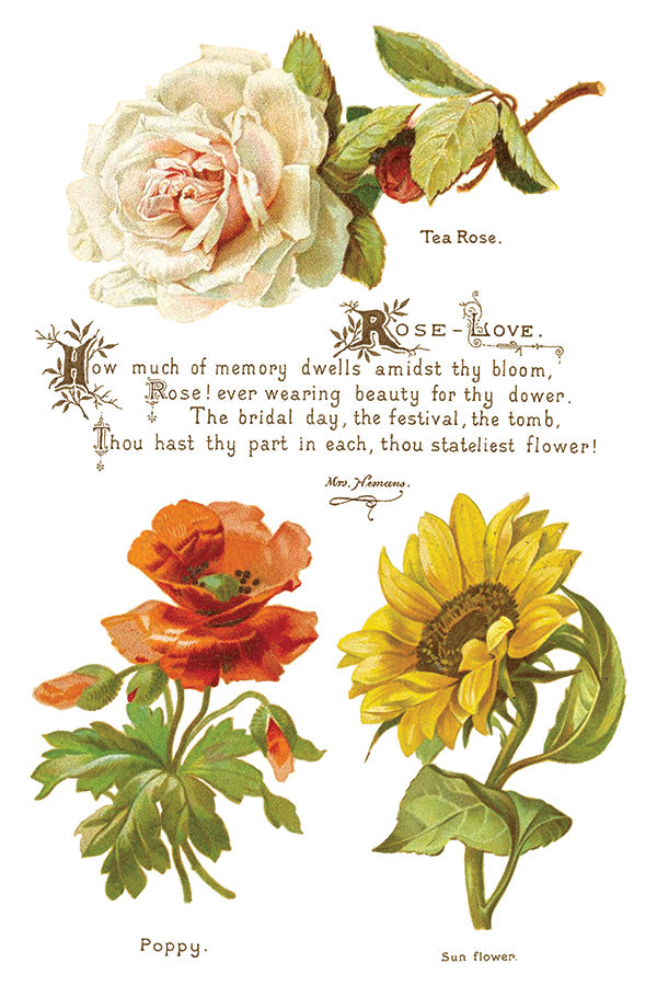 Lovers of Flowers IOD - TRANSFER PAD