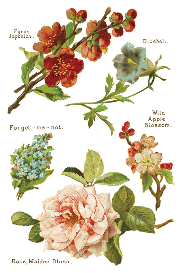 Lovers of Flowers IOD - TRANSFER PAD