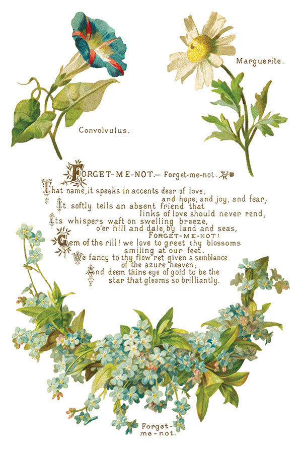 Lovers of Flowers IOD - TRANSFER PAD