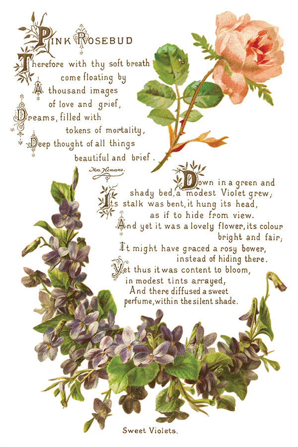 Lovers of Flowers IOD - TRANSFER PAD