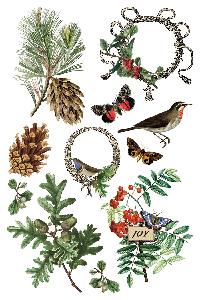 PRE- ORDER IOD - Winter Botanist TRANSFER 8 x 12ā PAD