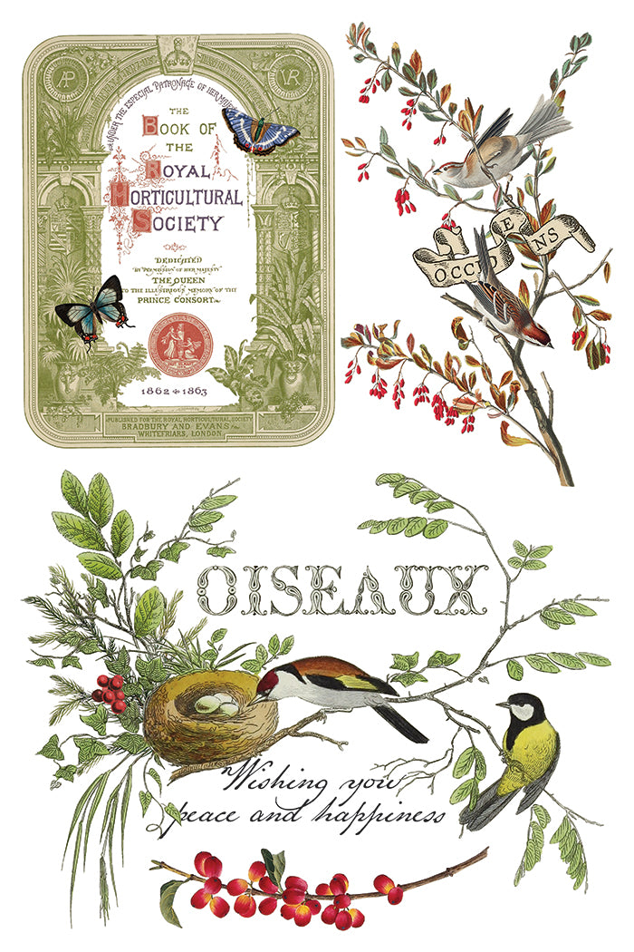 PRE- ORDER IOD - Winter Botanist TRANSFER 8 x 12ā PAD