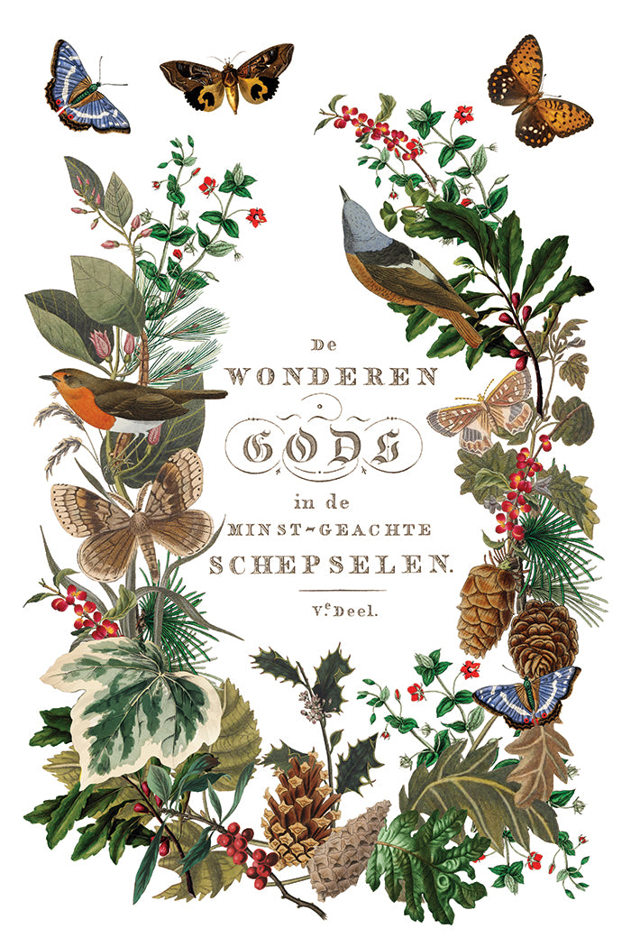 PRE- ORDER IOD - Winter Botanist TRANSFER 8 x 12ā PAD