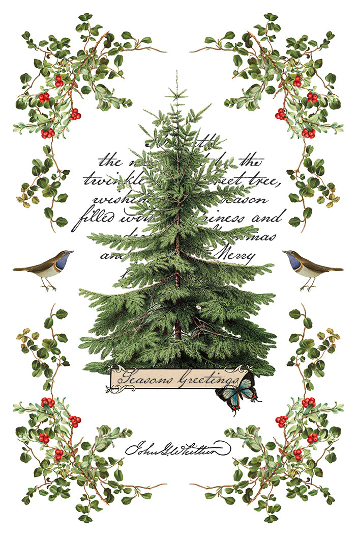 PRE- ORDER IOD - Winter Botanist TRANSFER 8 x 12ā PAD