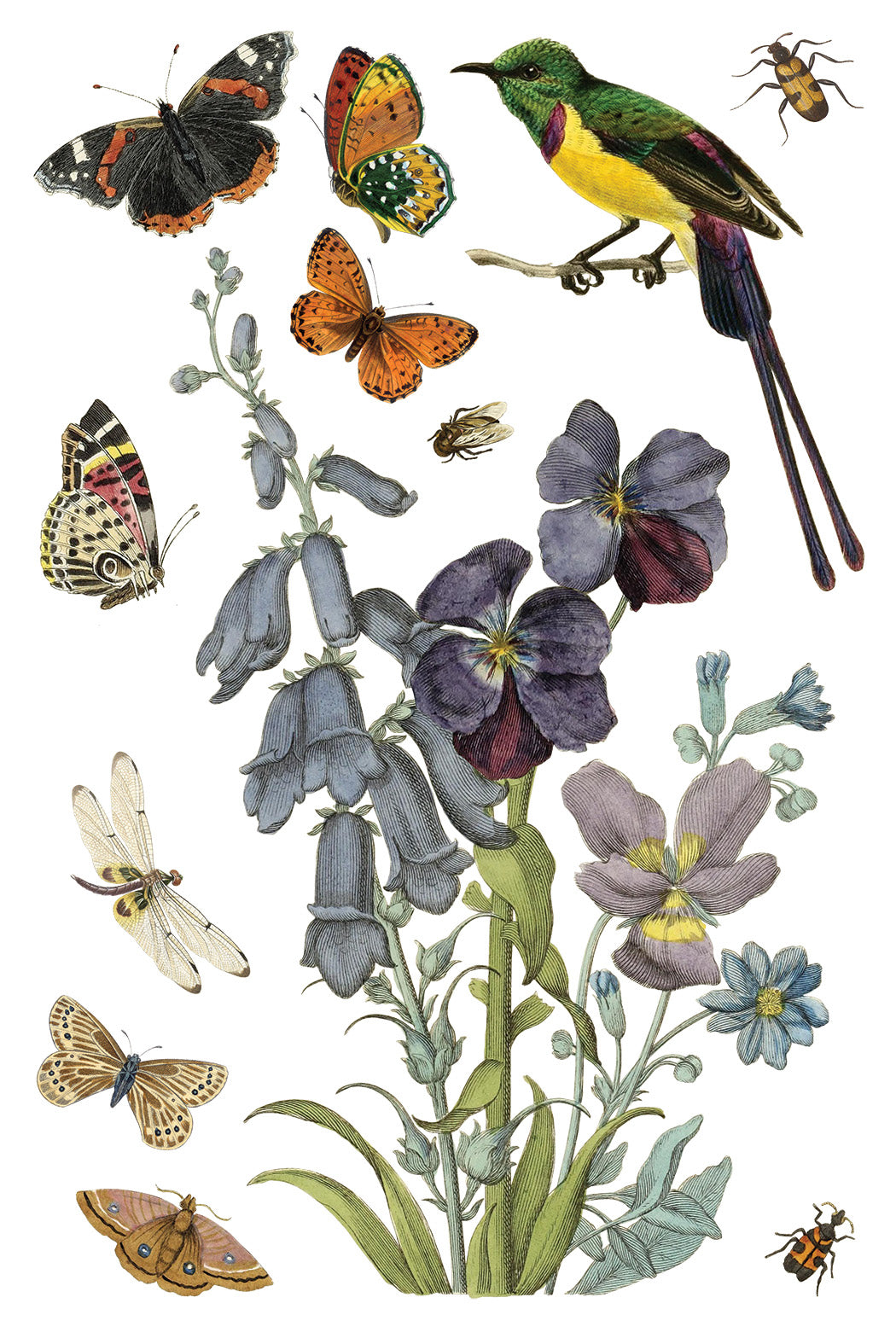 Wilde Bloemen IOD - TRANSFER 8 x 12” PAD