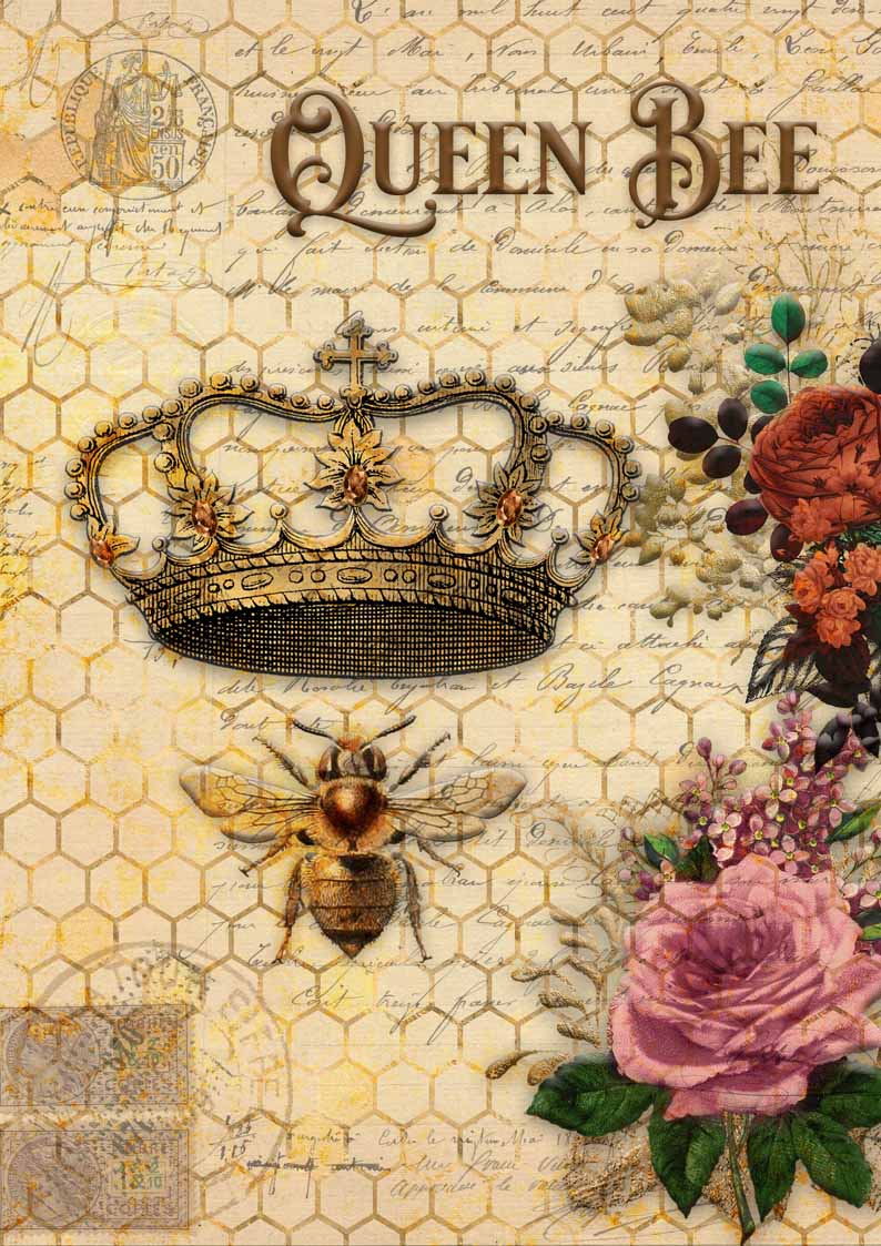5 Year Anniversary Exclusive Collection -Decoupage Queen Pack A4