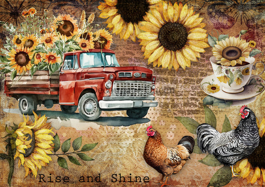 Rise and Shine - Rice Paper A3