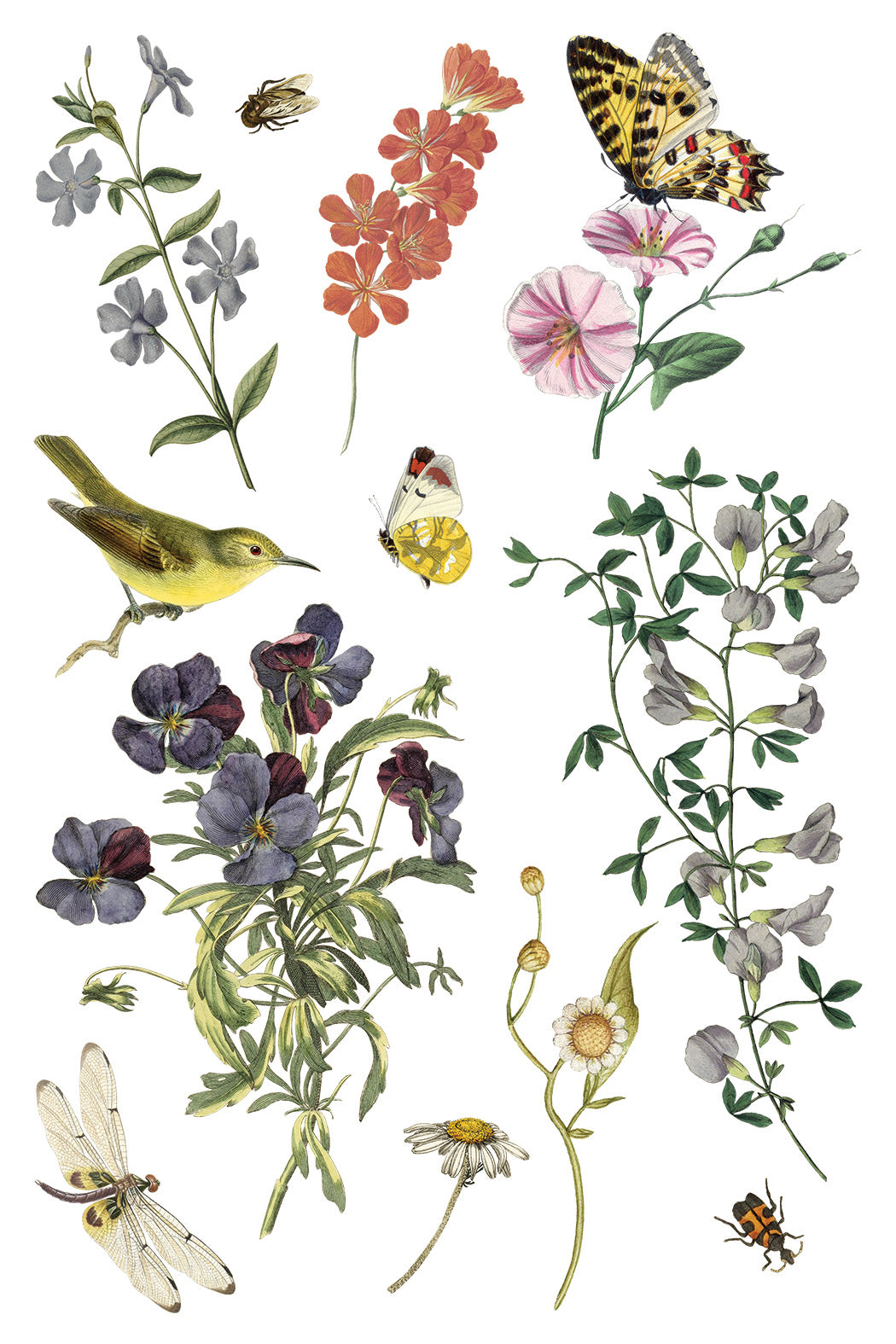 Wilde Bloemen IOD - TRANSFER 8 x 12” PAD