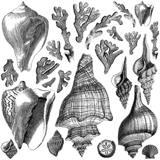 The Cottage Coast Collection