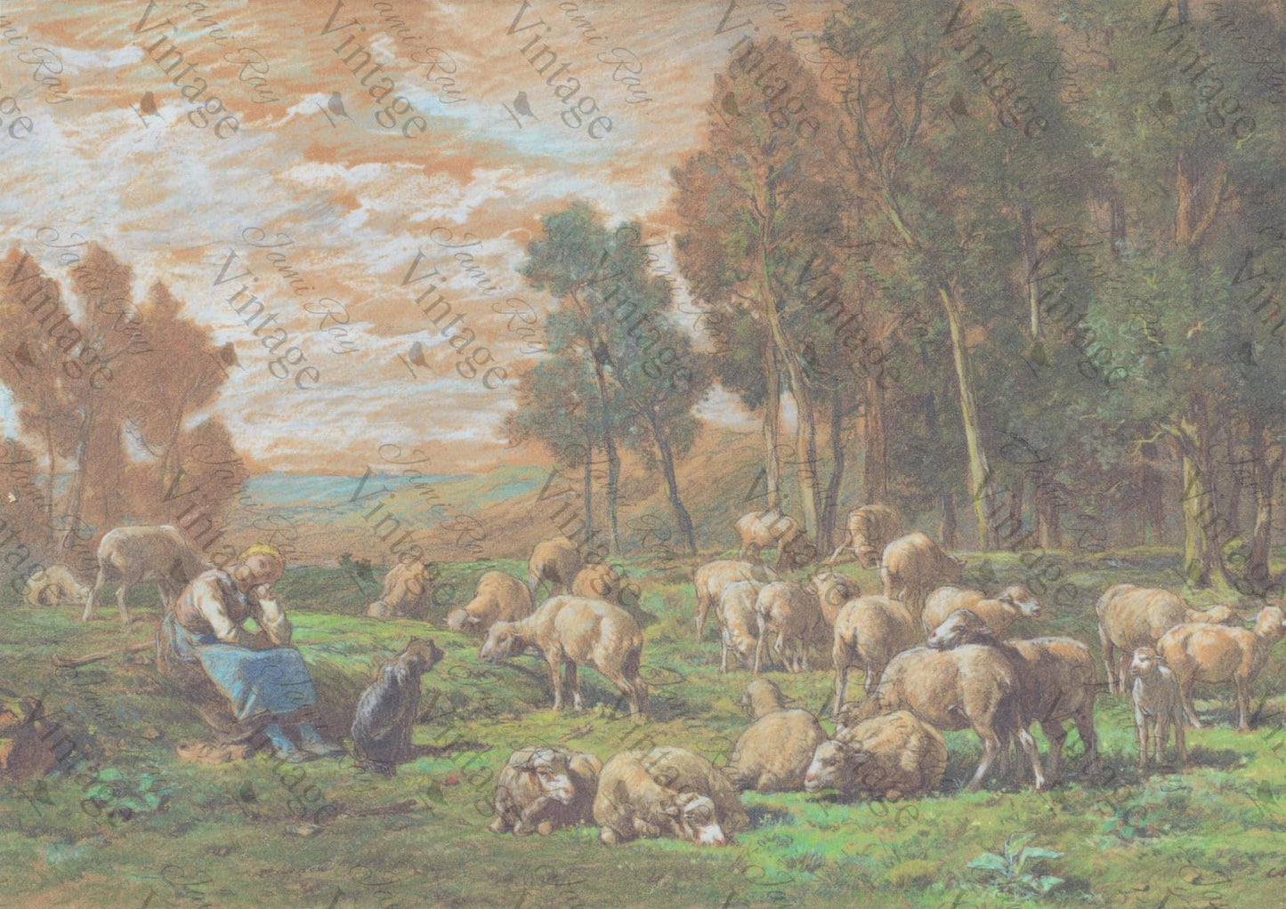 Pastoral Sheep A4 JRV Rice Paper