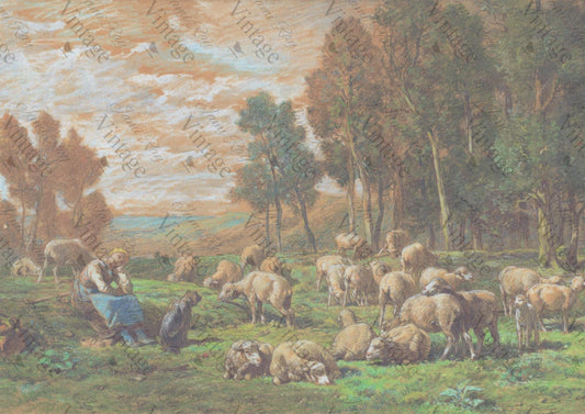 Pastoral Sheep A4 JRV Rice Paper