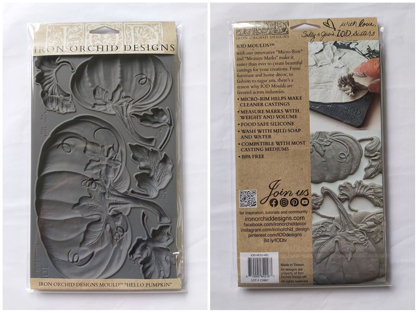 Hello Pumpkin IOD Décor Mould