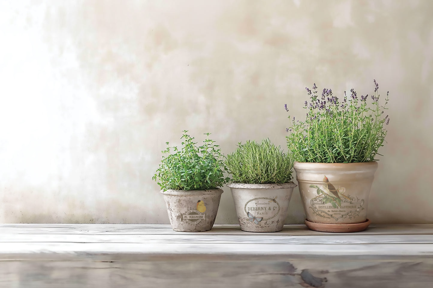 IOD - By Any Other Name TRANSFER 8 x 12” PAD