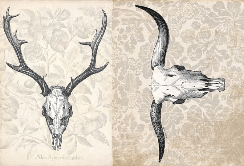 Animal Project Block Decoupage Paper