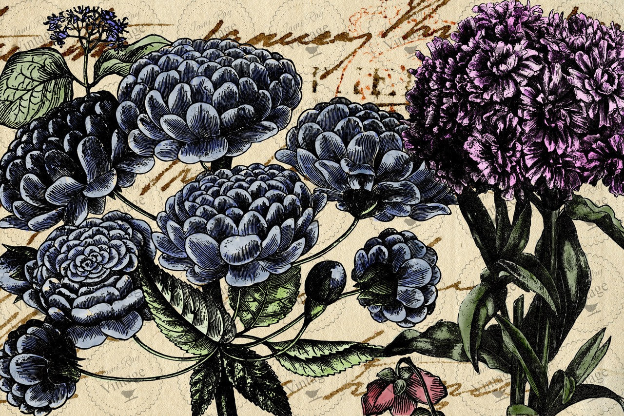 Pétales Decoupage Paper