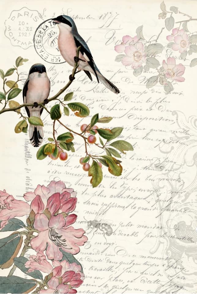 Spring Bird Decoupage Paper - Roycycled