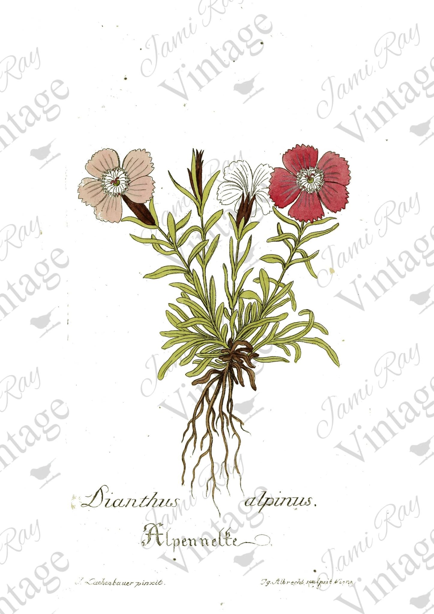 Jamie Ray Vintage A4 Rice Papers