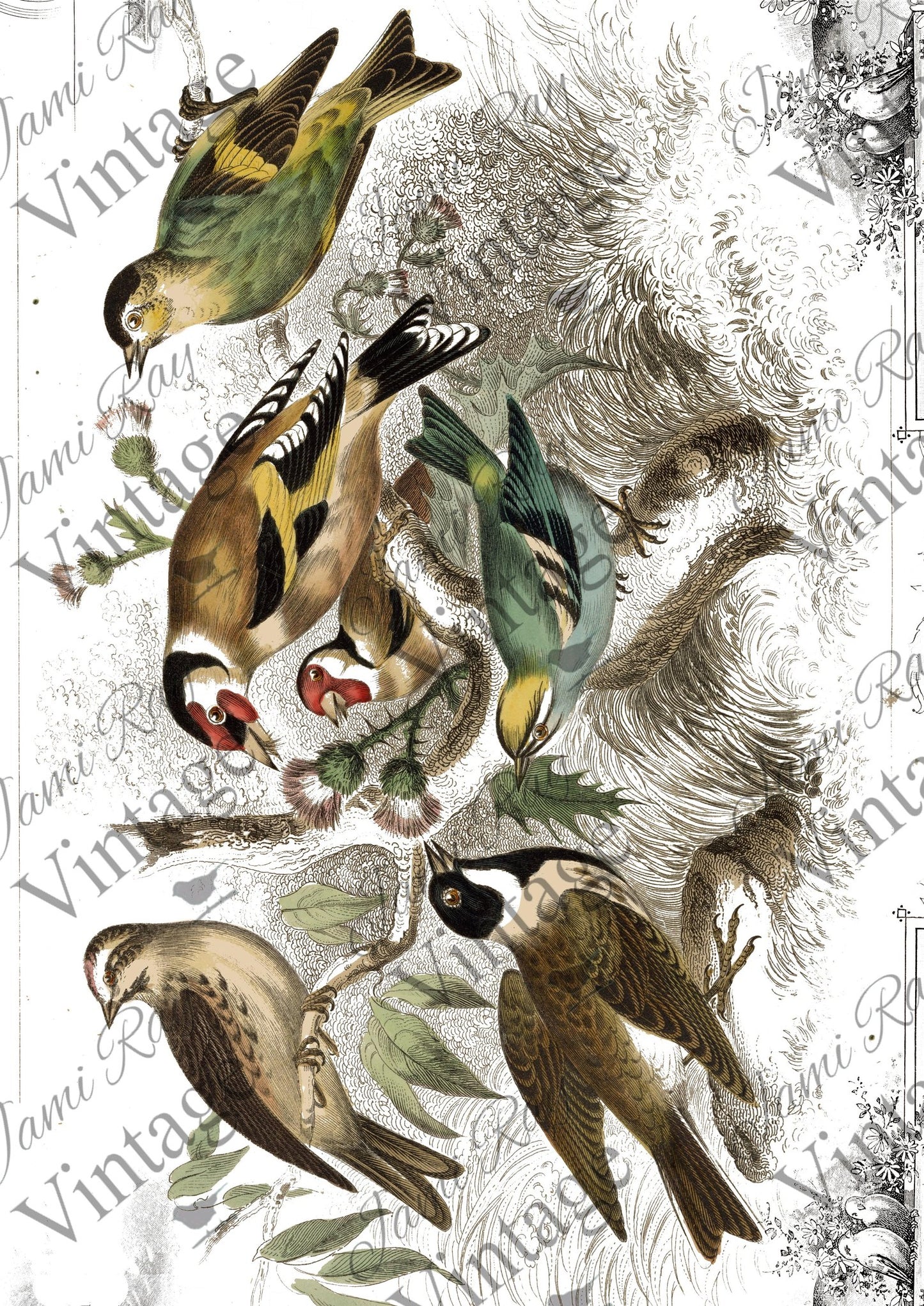 Jamie Ray Vintage A4 Rice Papers