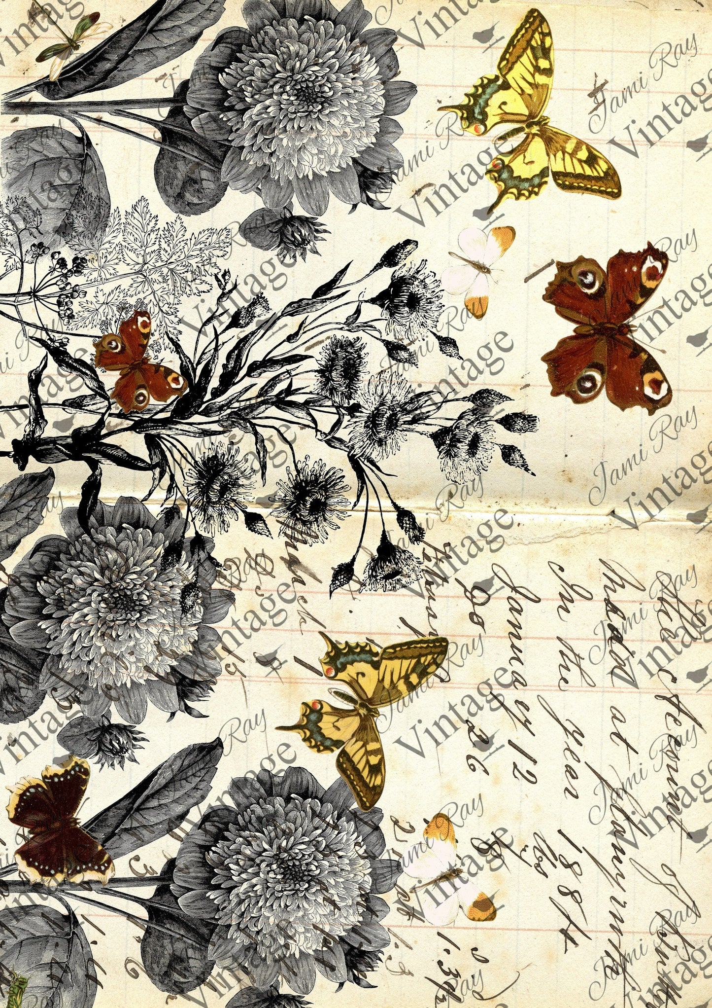 Jamie Ray Vintage A4 Rice Papers