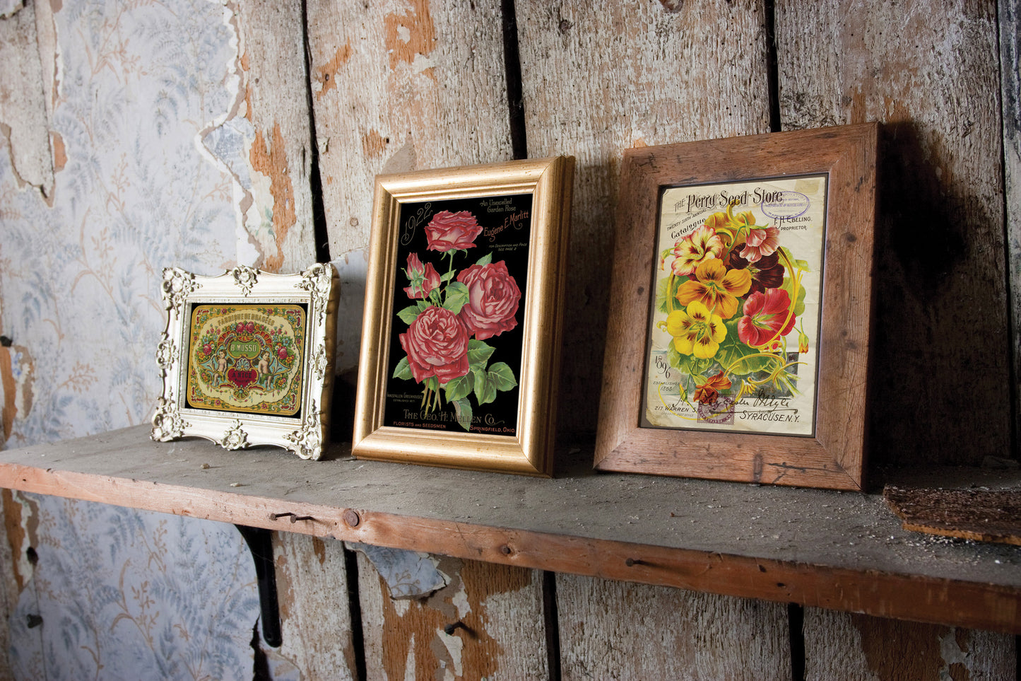 Ephemerial Melange IOD - TRANSFER PAD