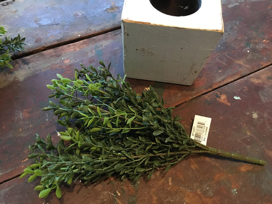 11" New England Boxwood Bush - Home Decor