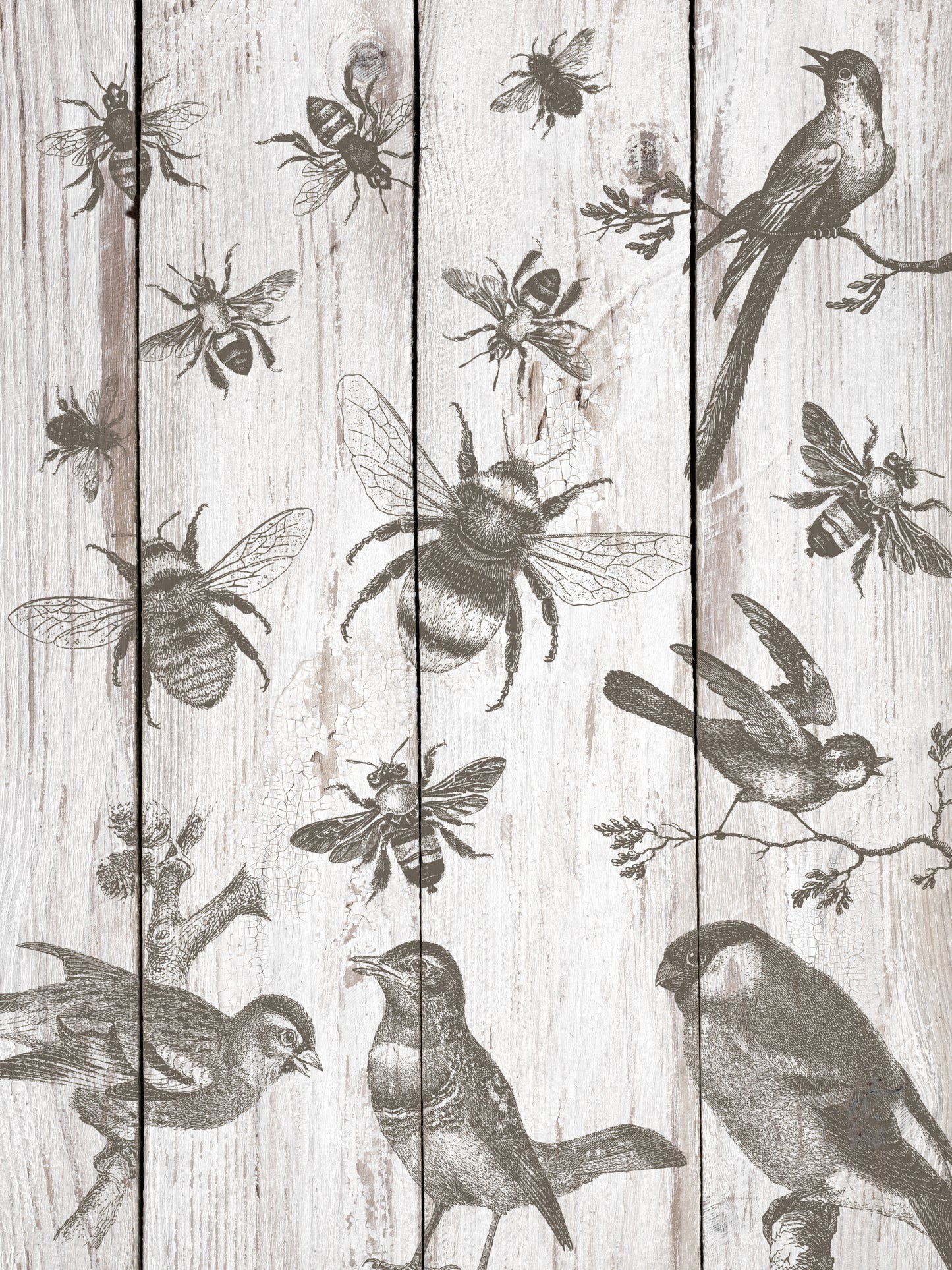 IOD - Birds & Bees 12×12 IOD STAMP