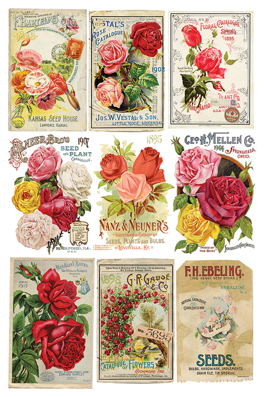 Ephemerial Melange IOD - TRANSFER PAD