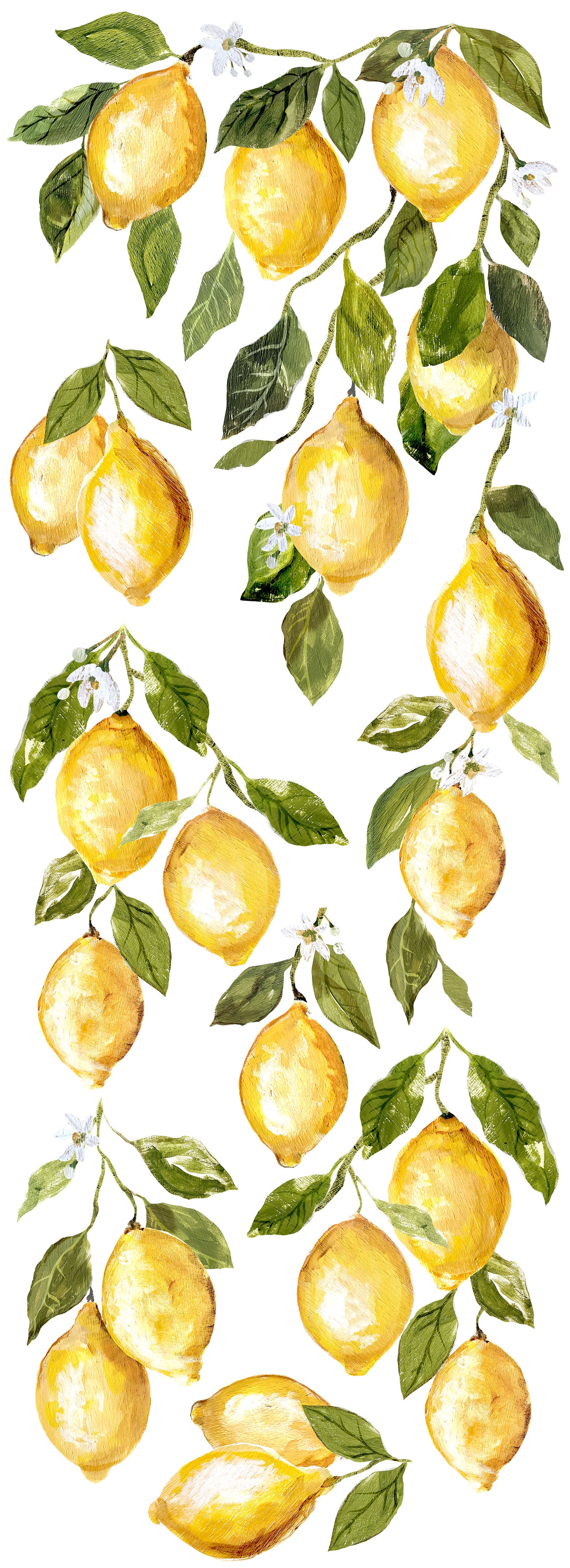 IOD- Decor Transfer Lemon Drops - Roll format