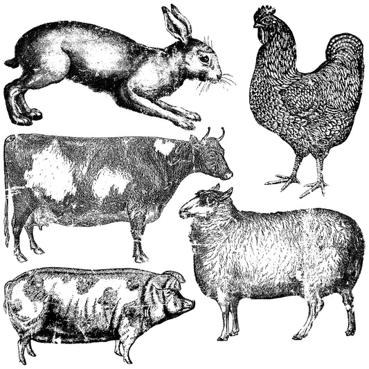 IOD 12 x 12 Decor Stamp Farm Animals