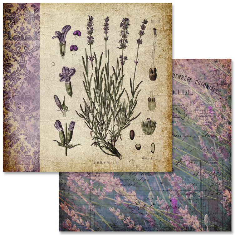Vintage Lavender Collection Scrapbook Paper Pack
