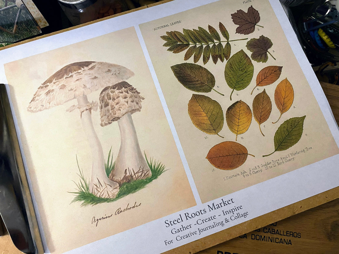 Free Autumn Botanical Printable — A Gift for Your Creative Weekend